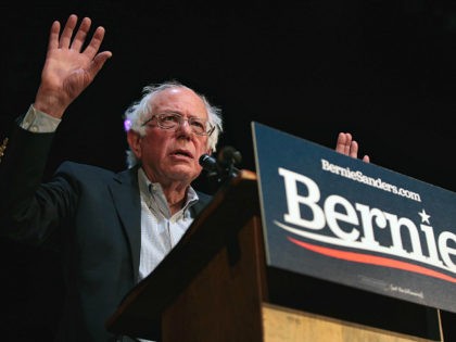MUSCATINE, IOWA - APRIL 06: Democratic presidential candidate Senator Bernie Sanders (I-VT) speaks during a rally at the Fairfield Arts and Convention Center on April 06, 2019 in Fairfield, Iowa. The event is the final of three campaign events Sanders held in the state today. (Photo by Scott Olson/Getty Images)