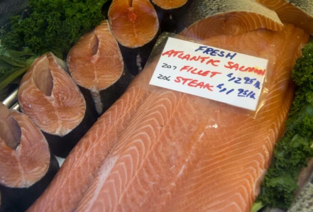 Canada gives nod to farm for genetically-modified salmon