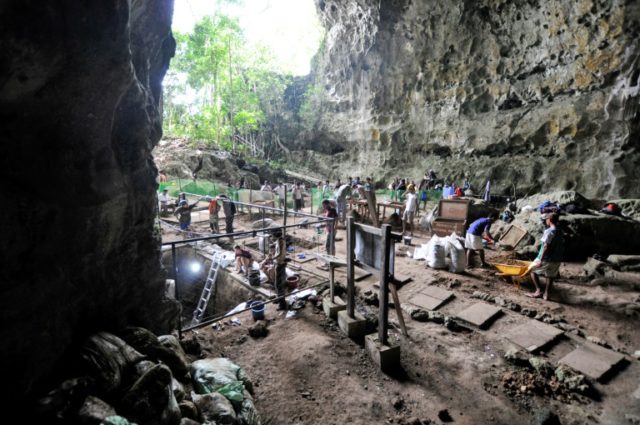 Welcome to the family: dig finds new early human species
