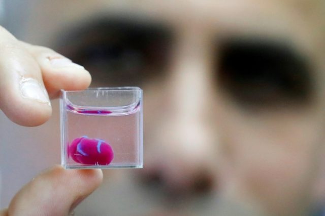 'First' 3D print of heart with human tissue, vessels unveiled