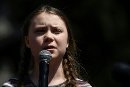 'Not here for selfies', activist Greta tells political world