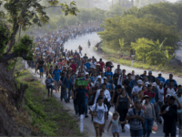 Overall immigration levels to the United States should be reduced …