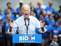 Democratic presidential candidate, former Vice President Joe Biden speaks during a campaign rally at Eakins Oval in Philadelphia, Saturday, May 18, 2019. (AP Photo/Matt Rourke)