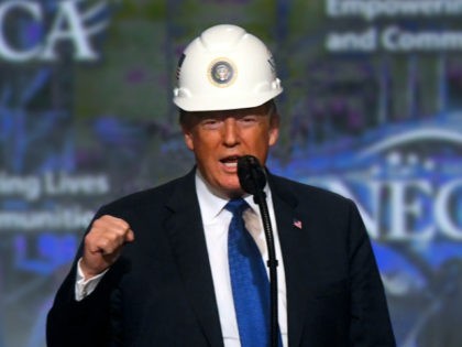 PHILADELPHIA, PA - OCTOBER 2: U.S. President Donald Trump wears a hard hat as he addresses the National Electrical Contractors Convention on October 2, 2018 in Philadelphia, Pennsylvania. The National Electrical Contractors Convention is the largest gathering of manufacturers and distributors for electrical professionals in North America. (Photo by Mark …
