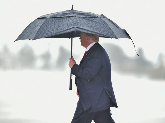 US President Donald Trump shelters from the rain under an umbrella as he arrives in Los Angeles, California on March 13, 2018. / AFP PHOTO / FREDERIC J. BROWN (Photo credit should read FREDERIC J. BROWN/AFP/Getty Images)