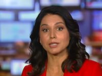 Rep. Tulsi Gabbard (D-HI) on FNC, 5/29/2019