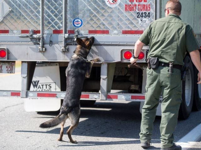 Border Patrol K-9 inspects trailer for drugs or human cargo.