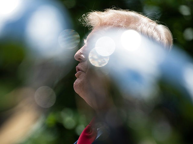 US President Donald Trump speaks during a ceremony celebrating West Point's football team on the South Lawn of the White House May 6, 2019, in Washington, DC. (Photo by Brendan Smialowski / AFP) (Photo credit should read BRENDAN SMIALOWSKI/AFP/Getty Images)