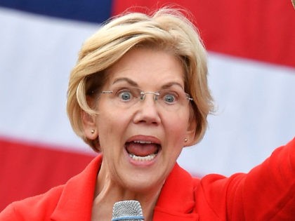 TOPSHOT - Democratic presidential candidate Elizabeth Warren gestures as she speaks during