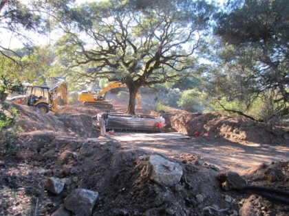 The photo displays the extent of damage during the removal of one of the protected heritage oak trees from the conservation easement property by the Thompsons. There was further damage to the CE property when the tree was dragged 1/3 mile to be placed on the adjacent property to enhance …