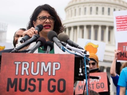 Rashida Tlaib (Saul Loeb / AFP / Getty)