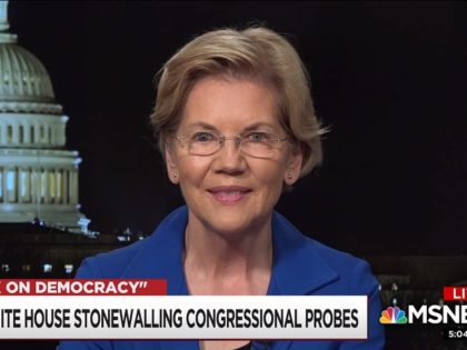 Elizabeth Warren on MSNBC, 5/7/2019