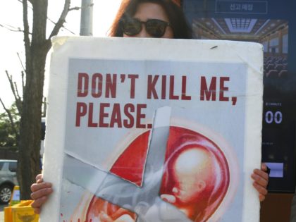 TOPSHOT - Pro-lifers hold placards showing images of embryos during a rally supporting Sou
