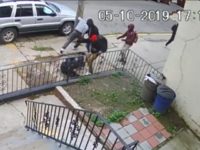 Watch: Brooklyn Man Beaten, Robbed in Broad Daylight