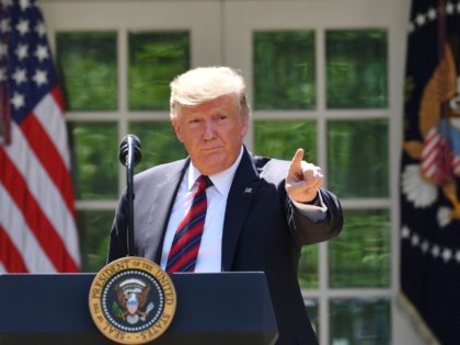 TOPSHOT - US President Donald Trump gestures as he delivers remarks on immigration at the Rose Garden of the White House in Washington, DC on May 16, 2019. - President Donald Trump called for radical immigration reform to favor skilled, English-speaking workers over the poorly educated and to shut the …