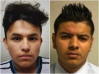 illegals