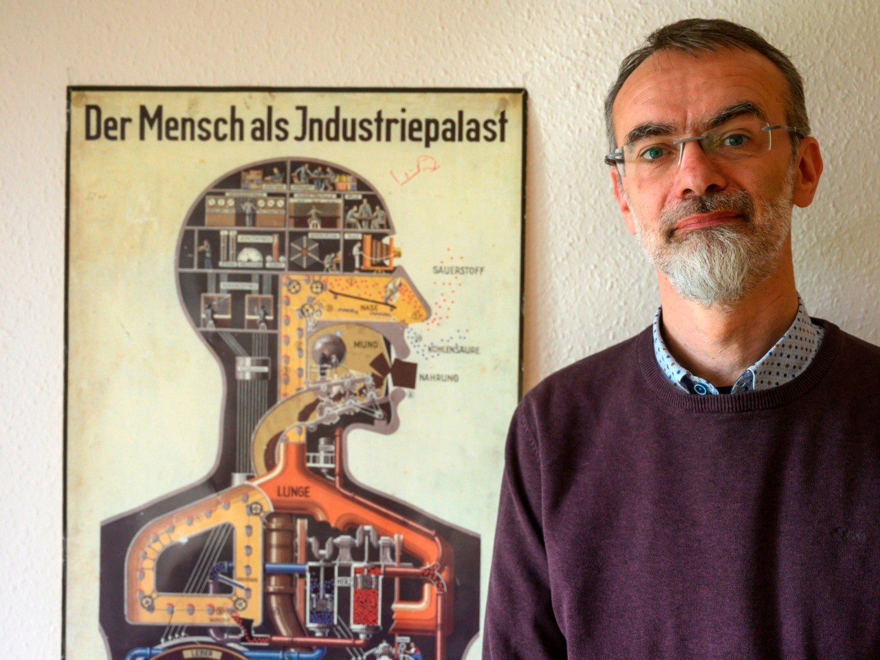 Der Mensch Industriepalast картина. Институт анатомии Берлин.