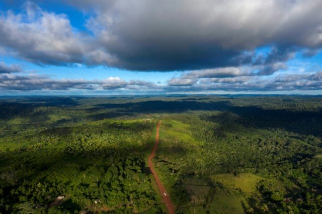Brazil's rich biodiversity is under attack from multiple fronts, including landowners who cut down multi-storied trees to make way for soya bean crops, clandestine miners who pollute rivers used by indigenous people, and timber traffickers who decimate valuable species Attacks on Brazil's ecological paradises threaten biodiversity