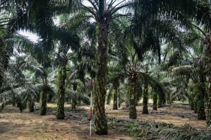 Malaysia minister accuses EU of palm oil 'trade war'