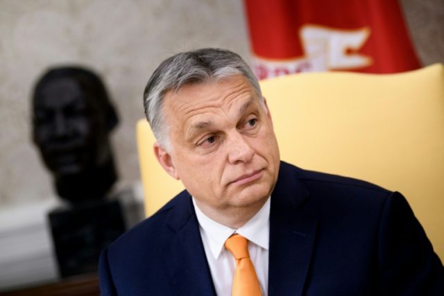 'Major malpractices' marred Hungary 2018 vote: rights group