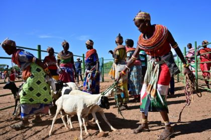 Tradition meets tech as Kenya's herders adapt to climate change