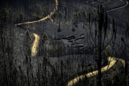 EU court rejects historic citizen's climate case