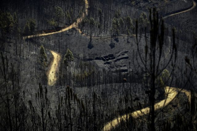 EU court rejects historic citizen's climate case