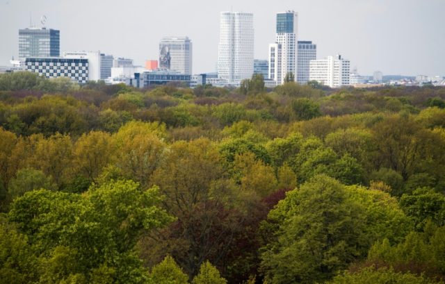 Sleepless in Berlin: Nightingales flock to scruffy city parks