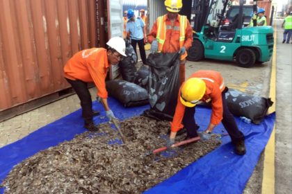 Vietnam seizes 5 tonnes of pangolin scales from Nigeria
