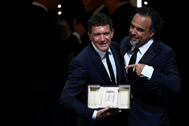 Banderas wins Cannes 'best actor' as Almodovar alter ego