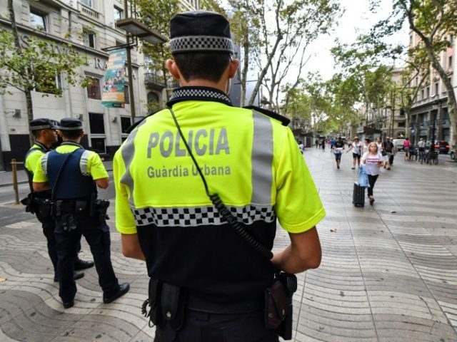 Spanish policeman killed in drug op chase