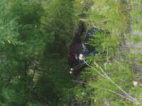 Brooks County Sheriff's Office officials recovered the body of what is believed to be a Mexican migrant. (Photo: Brooks County Sheriff's Office/Deputy Robert Castanon)