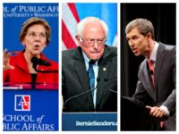 Combo of Elizabeth Warren, Bernie Sanders, and Beto O'Rourke