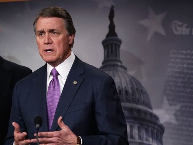 WASHINGTON, DC - FEBRUARY 12: U.S. Sen. David Perdue (R-GA) (L) speaks as Sen. Chuck Grass