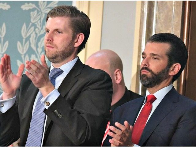 Eric Trump, left, and Donald Trump Jr., applaud as their father President Donald Trump delivers the State of the Union address on February 5. Fox News host Brian Kilmeade said Trump Jr. would have "a great political future" if he ran for office. SAUL LOEB/AFP/GETTY IMAGES