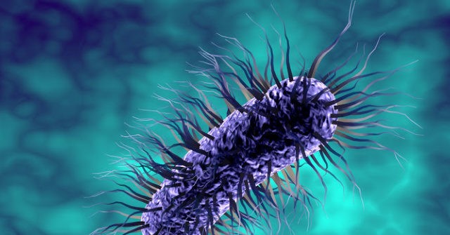 Child Dies After Contracting E Coli Linked To San Diego Fair