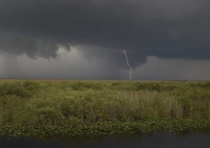 Everglades lightning (Joe Raedle / Getty)