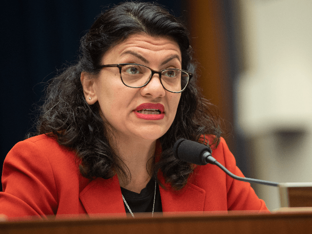 US Representative Rashida Tlaib, Democrat of Michigan, questions US Secretary of Treasury Steven Mnuchin as he testifies during a House Committee on Financial Services hearing on Capitol Hill in Washington, DC, May 22, 2019. (Photo by SAUL LOEB / AFP) (Photo credit should read SAUL LOEB/AFP/Getty Images)