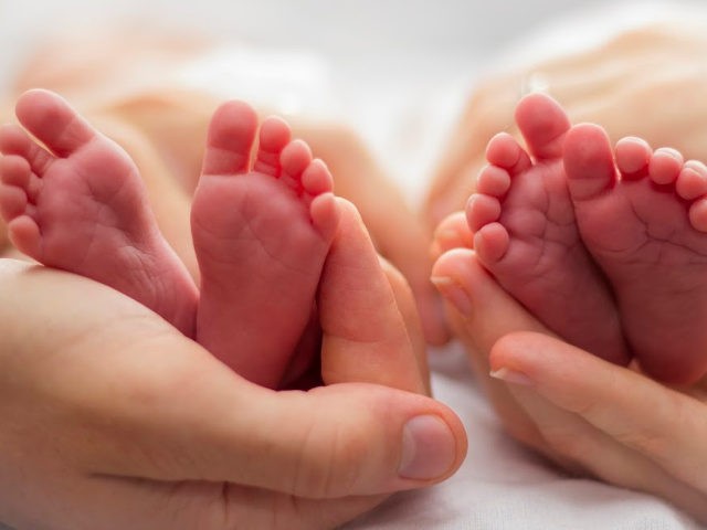 Mother and father's hands cradling twin babies' feet on a pale background - stock photo