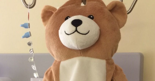 teddy bear you can hide stuff in