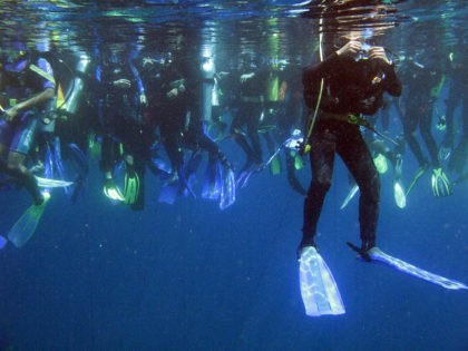 CORRECTING DATE Divers crowd the waters of Manado on August 16, 2009 to set the first ever record for the largest group scuba diving licence. About 2,465 divers participated in the mass dive, ahead of the 64th anniversary of Indonesian independence on August 17. AFP PHOTO/Sonny TUMBELAKA (Photo credit should …
