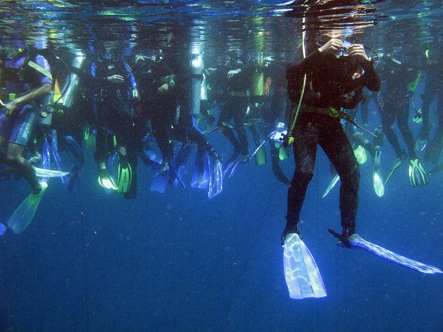 CORRECTING DATE Divers crowd the waters of Manado on August 16, 2009 to set the first ever