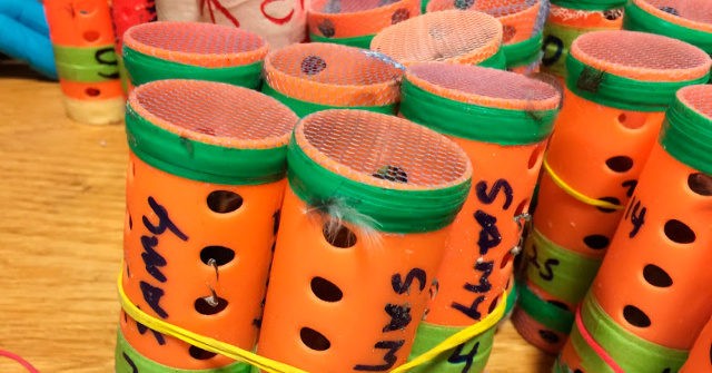 Officials: Man Arrested for Hiding 34 Finches in Plastic Curlers