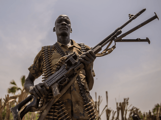 A rebel soldier poses with his gun in Touch Riak, Leer county, on March 7, 2018, where fam