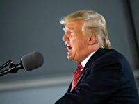 President Donald Trump speaks at Southwest Iowa Renewable Energy in Council Bluffs, Iowa, Tuesday, June 11, 2019. (AP Photo/Patrick Semansky)