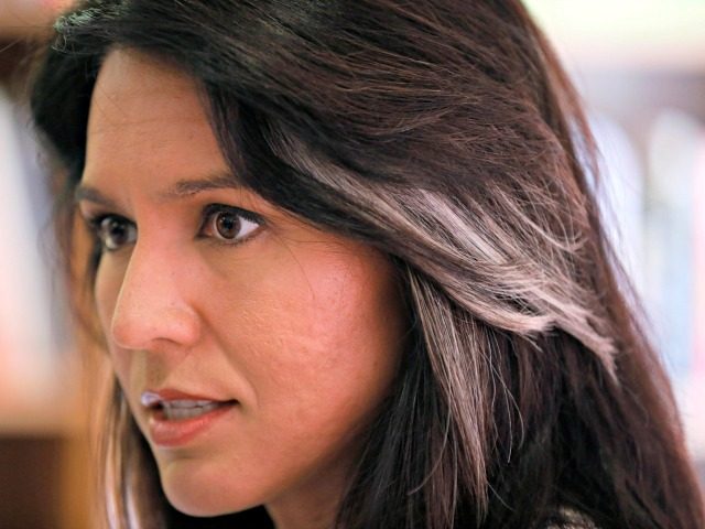 2020 Democratic presidential candidate Tulsi Gabbard speaks during a meeting with local re