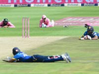 Cricket