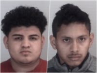 illegal aliens Chapel Hill
