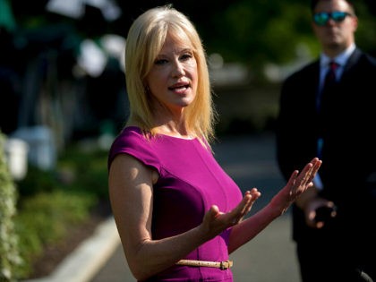 Counselor to the President Kellyanne Conway speaks to reporters outside the West Wing of the White House in Washington, Wednesday, May 29, 2019. (AP Photo/Andrew Harnik)
