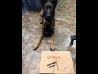 NORWOOD, Ohio (FOX19) - Norwood K9 Beau assisted his handler, Officer Harvey, during a traffic stop on his first day.